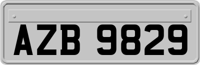AZB9829