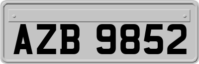 AZB9852