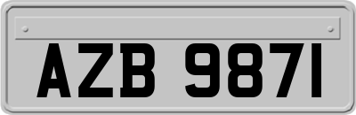 AZB9871