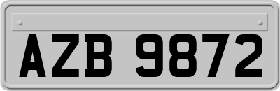 AZB9872