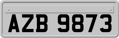 AZB9873