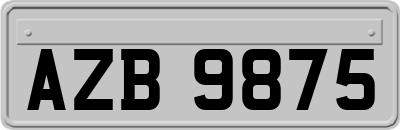 AZB9875