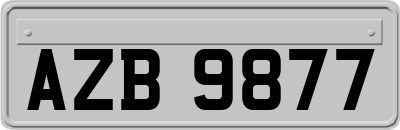 AZB9877