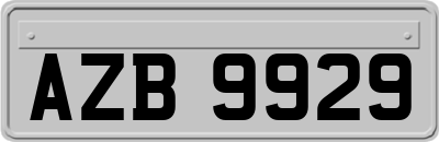 AZB9929