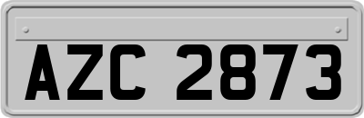 AZC2873