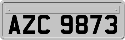 AZC9873