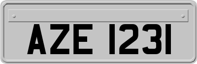AZE1231