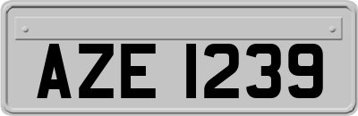 AZE1239