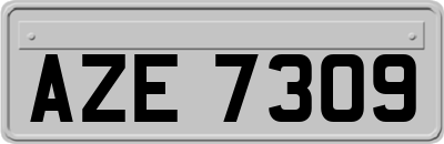AZE7309