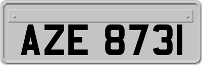 AZE8731