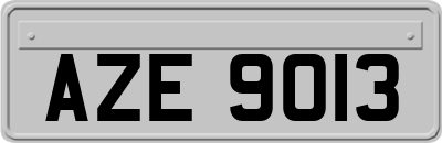 AZE9013