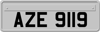AZE9119