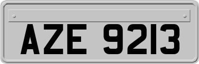 AZE9213