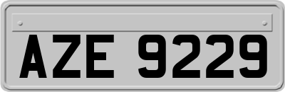 AZE9229
