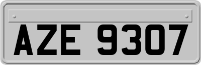 AZE9307