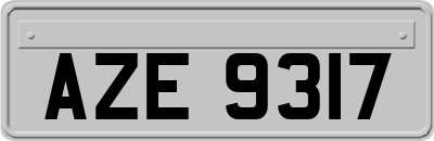 AZE9317