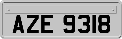 AZE9318