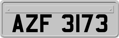 AZF3173
