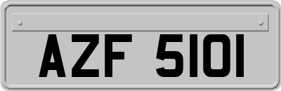 AZF5101