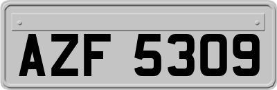 AZF5309