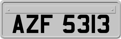 AZF5313