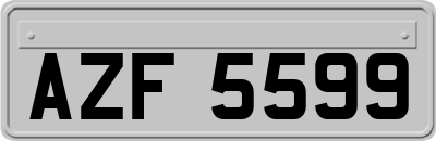 AZF5599