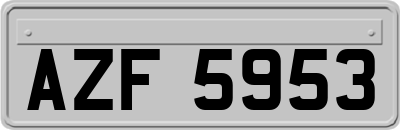 AZF5953