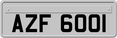 AZF6001