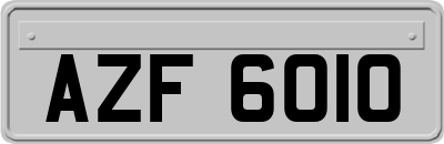 AZF6010