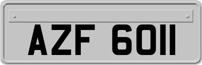 AZF6011