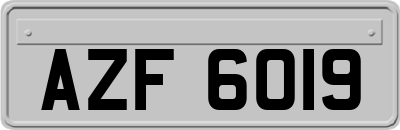 AZF6019
