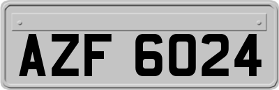 AZF6024