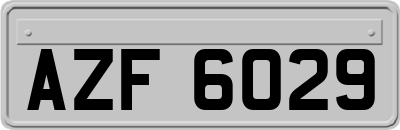 AZF6029