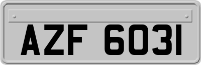 AZF6031