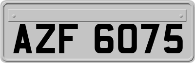 AZF6075