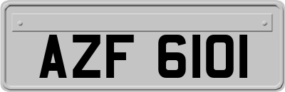 AZF6101