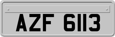 AZF6113