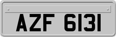 AZF6131