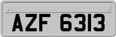 AZF6313