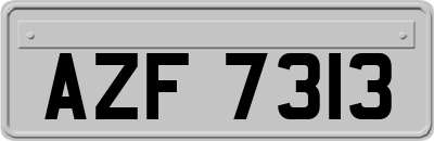 AZF7313