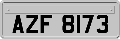 AZF8173