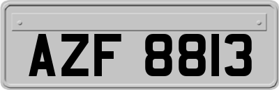 AZF8813
