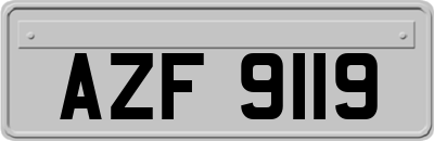 AZF9119