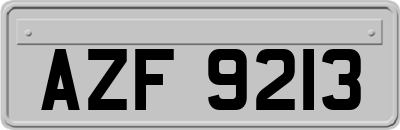 AZF9213