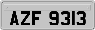 AZF9313