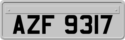 AZF9317