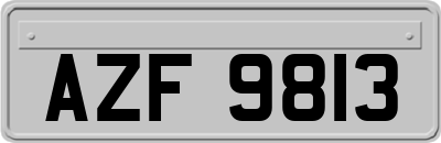 AZF9813