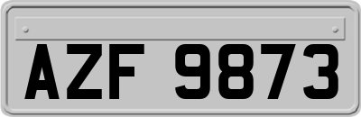AZF9873