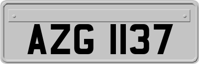 AZG1137