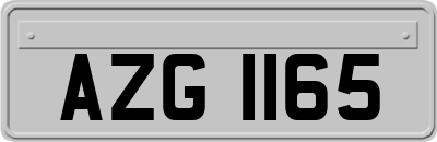 AZG1165